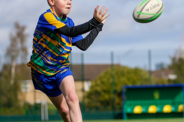 Summer Rugby Camps