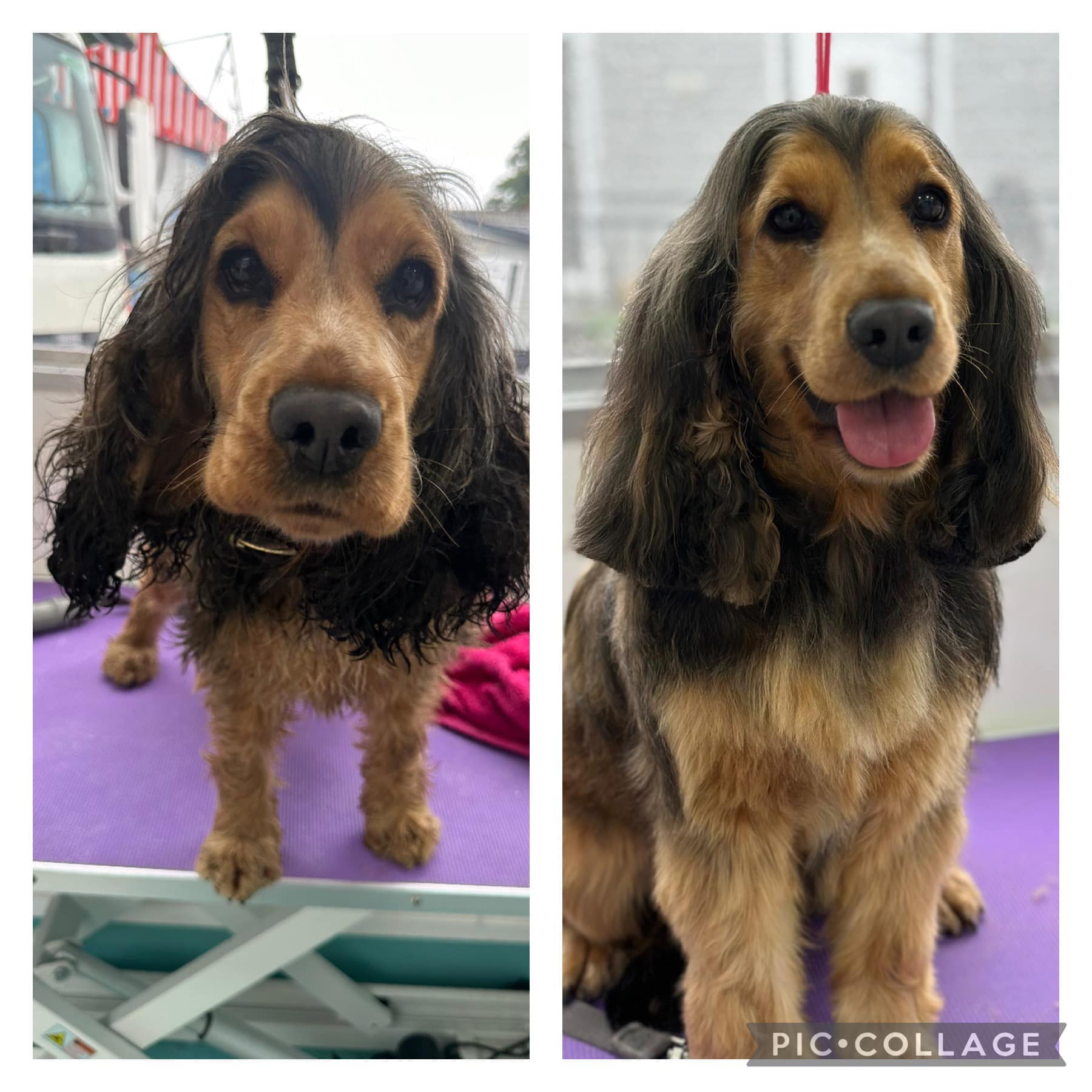 Hunslet Club Celebrates 50 Years of Community Impactsss